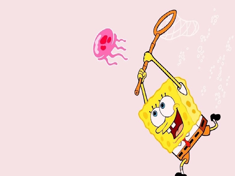 合肥日本试管马赛克（试管婴儿 差异）