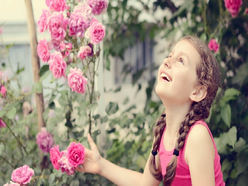 <strong>试管婴儿胚胎阶段（什么叫拉拉试管）</strong>